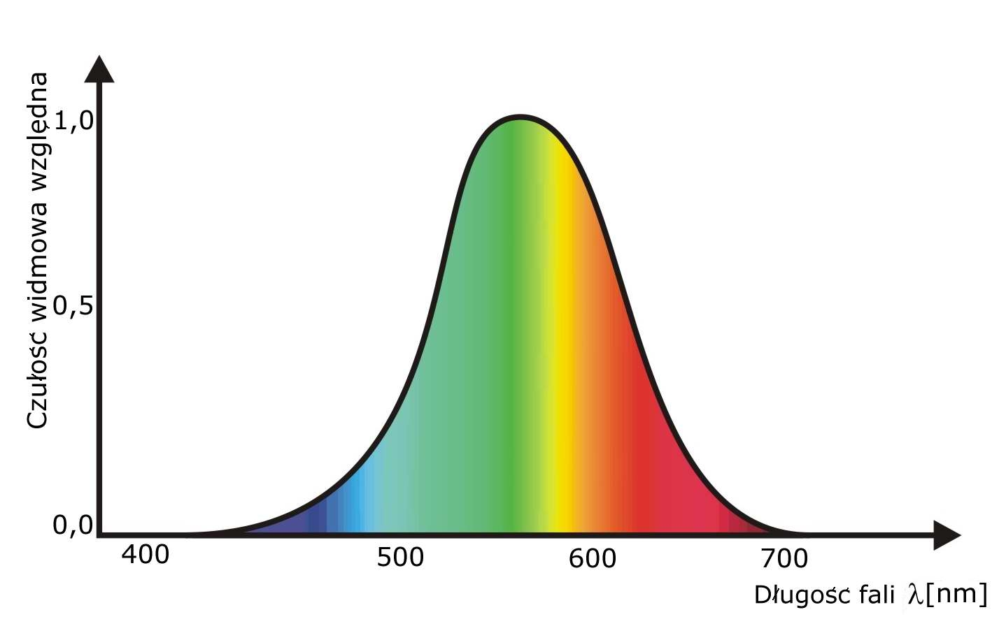 Wykres czułości widmowej dla widzenia w dzień